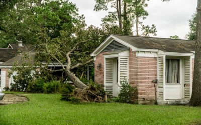 Fallen Tree on a home after Hurricane Harvey